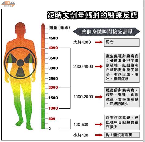 被輻射過的人|輻射對身體有何傷害